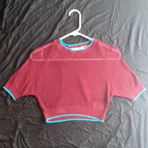 Urban Outfitters Maroon Knit Cropped Baby Tee